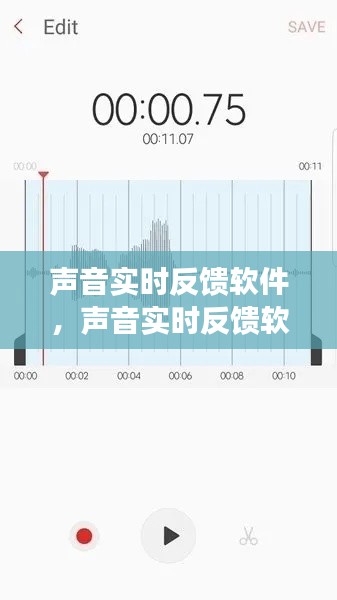 声音实时反馈软件，声音实时反馈软件下载 