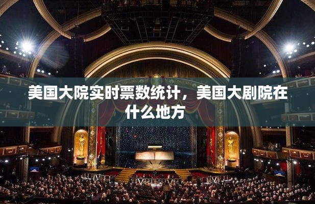 美国大院实时票数统计，美国大剧院在什么地方 