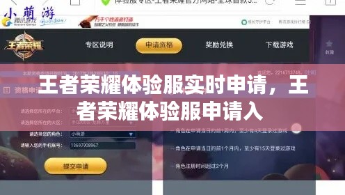 王者荣耀体验服实时申请，王者荣耀体验服申请入 