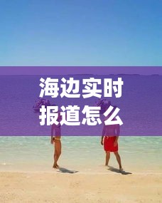 下载中心 第234页