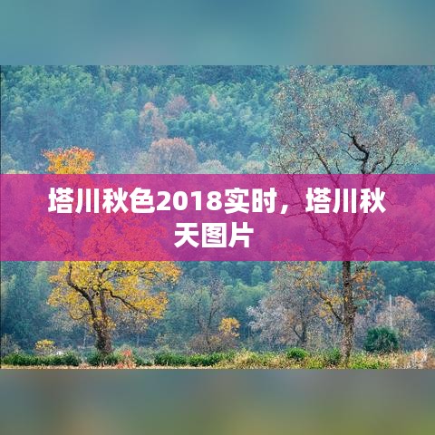 塔川秋色2018实时，塔川秋天图片 