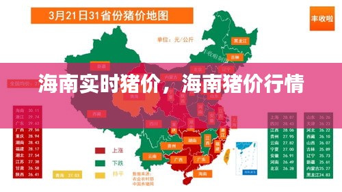 产品中心 第239页