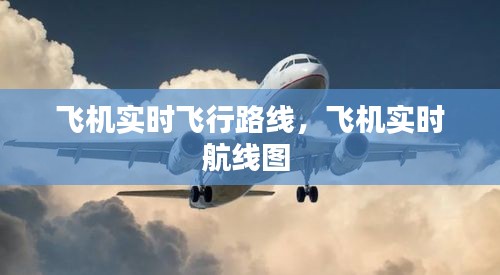 飞机实时飞行路线，飞机实时航线图 