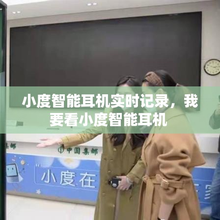 小度智能耳机实时记录，我要看小度智能耳机 