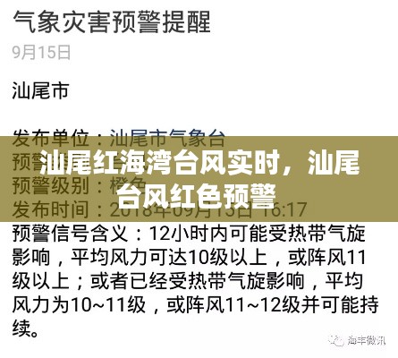 汕尾红海湾台风实时，汕尾台风红色预警 