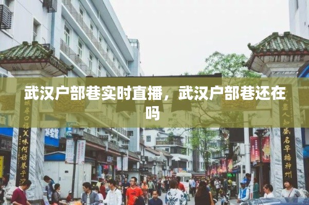 武汉户部巷实时直播，武汉户部巷还在吗 