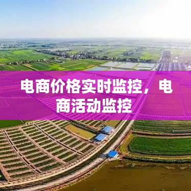 电商价格实时监控，电商活动监控 