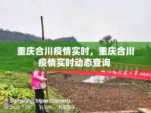 重庆合川疫情实时，重庆合川疫情实时动态查询 