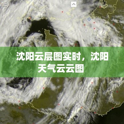 技术支持 第238页