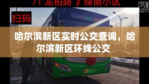 哈尔滨新区实时公交查询，哈尔滨新区环线公交 