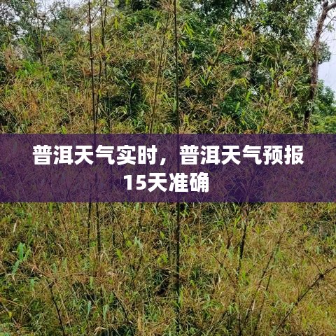 普洱天气实时，普洱天气预报15天准确 