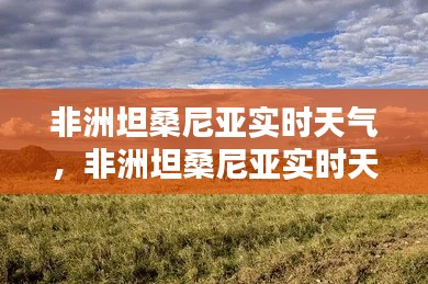 非洲坦桑尼亚实时天气，非洲坦桑尼亚实时天气 