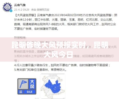 下马看花 第4页