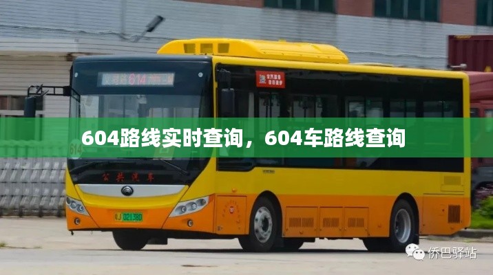 行业应用 第241页