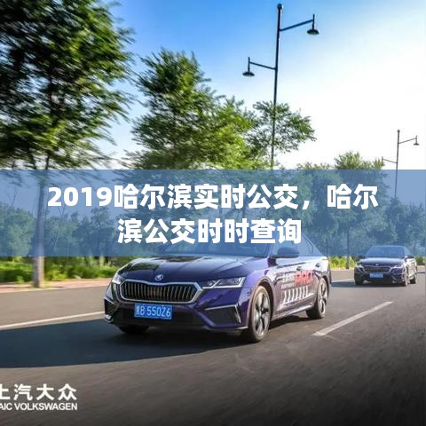 2019哈尔滨实时公交，哈尔滨公交时时查询 