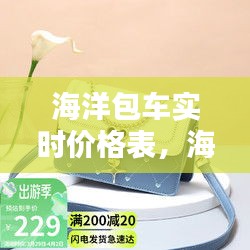 海洋包车实时价格表，海洋包包 