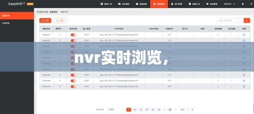 nvr实时浏览， 