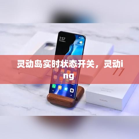 灵动岛实时状态开关，灵动ing 