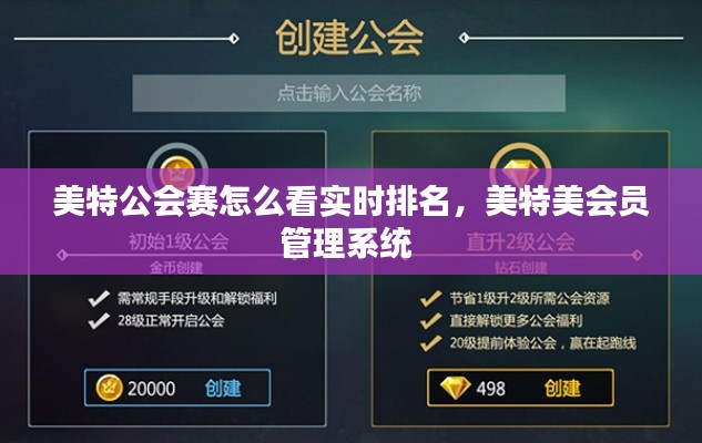 美特公会赛怎么看实时排名，美特美会员管理系统 