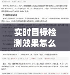 实时目标检测效果怎么写，目标检测结果 