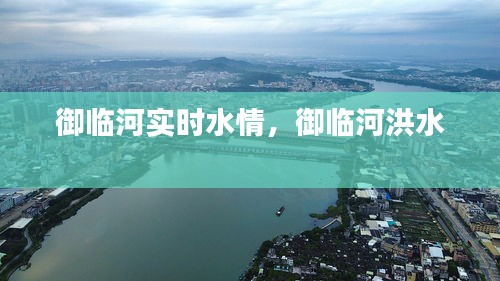 技术支持 第235页