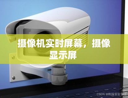 摄像机实时屏幕，摄像显示屏 