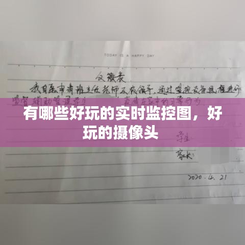 有哪些好玩的实时监控图，好玩的摄像头 