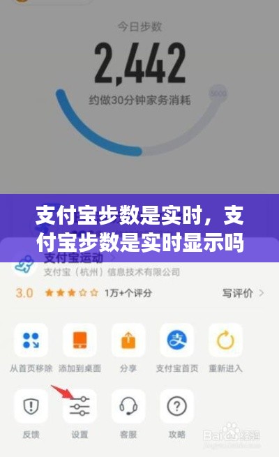 支付宝步数是实时，支付宝步数是实时显示吗 