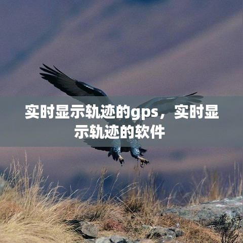 实时显示轨迹的gps，实时显示轨迹的软件 