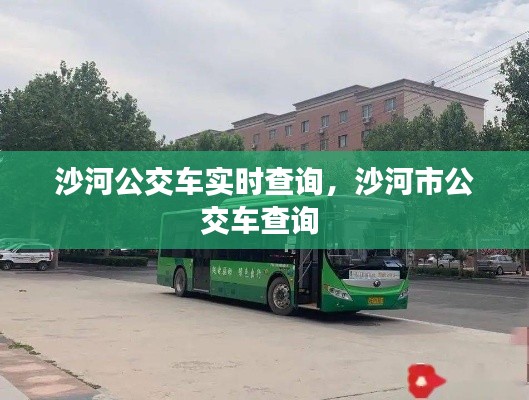 鸟飞兔走 第4页