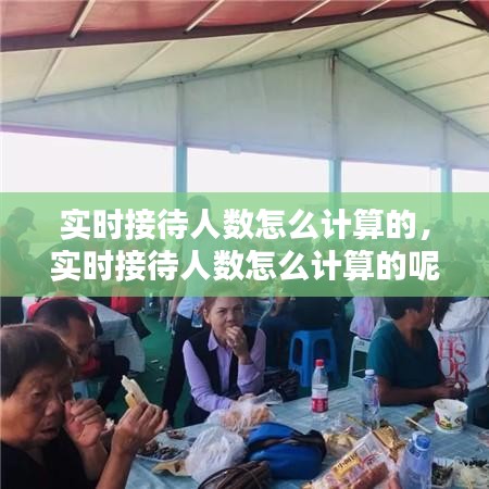 实时接待人数怎么计算的，实时接待人数怎么计算的呢 