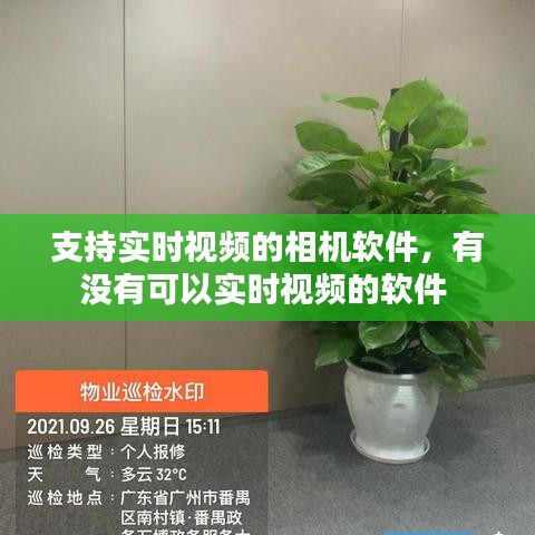支持实时视频的相机软件，有没有可以实时视频的软件 