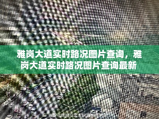 雅岗大道实时路况图片查询，雅岗大道实时路况图片查询最新 