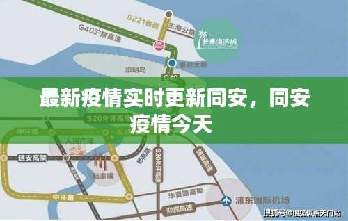 最新疫情实时更新同安，同安疫情今天 