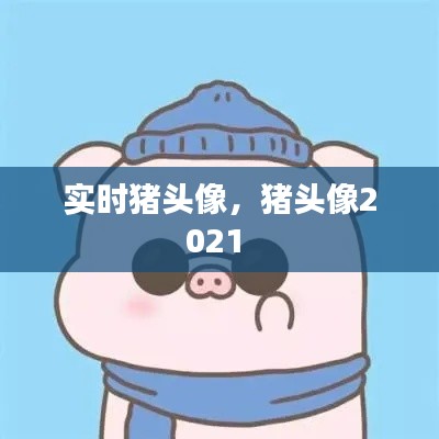 实时猪头像，猪头像2021 