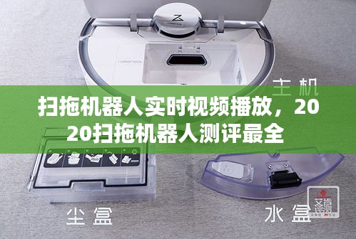 扫拖机器人实时视频播放，2020扫拖机器人测评最全 