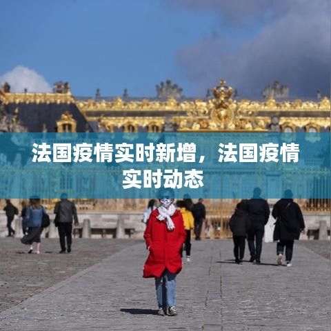 法国疫情实时新增，法国疫情实时动态 