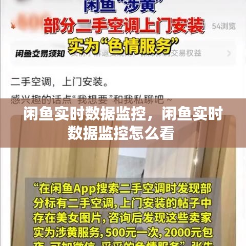 闲鱼实时数据监控，闲鱼实时数据监控怎么看 