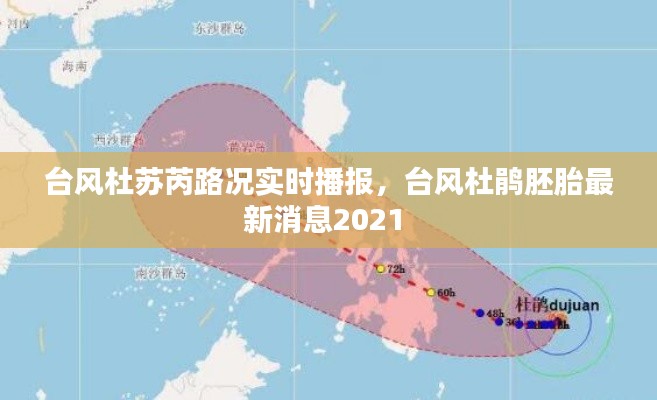 台风杜苏芮路况实时播报，台风杜鹃胚胎最新消息2021 