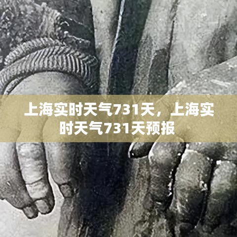 上海实时天气731天，上海实时天气731天预报 