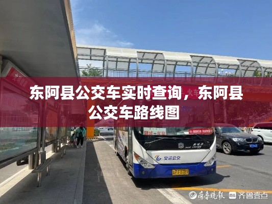 东阿县公交车实时查询，东阿县公交车路线图 