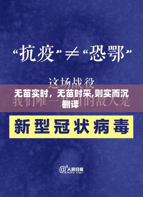 无苗实时，无苗时采,则实而沉翻译 