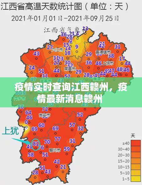 疫情实时查询江西赣州，疫情最新消息赣州 