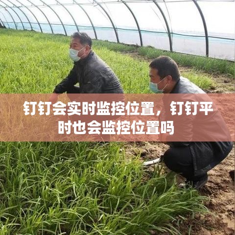 钉钉会实时监控位置，钉钉平时也会监控位置吗 