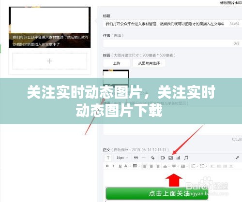 关注实时动态图片，关注实时动态图片下载 