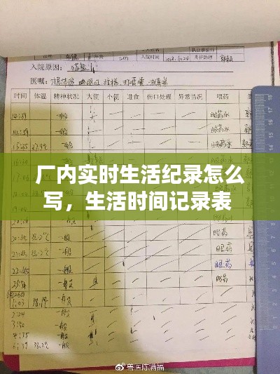 技术支持 第228页
