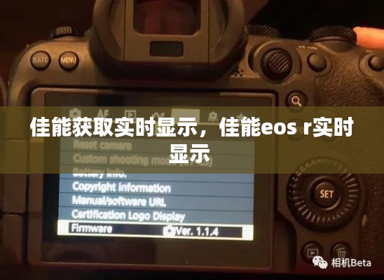 天堂地狱 第4页