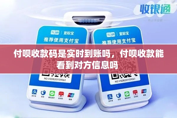 付呗收款码是实时到账吗，付呗收款能看到对方信息吗 