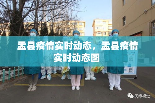 下载中心 第223页