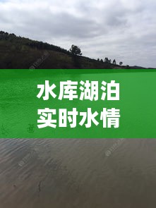 水库湖泊实时水情报告，水库湖泊实时水情报告 
